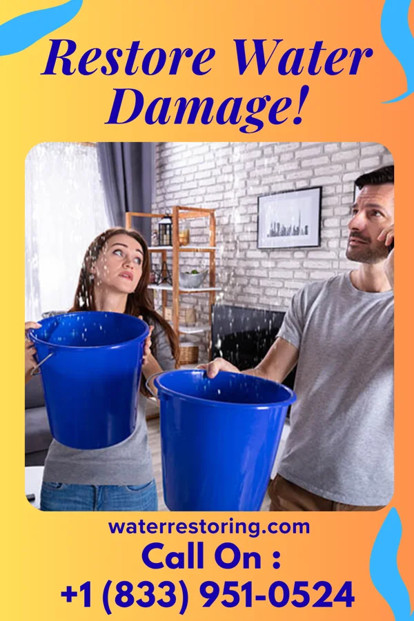 water restoration National Cleanup Force Jamesport